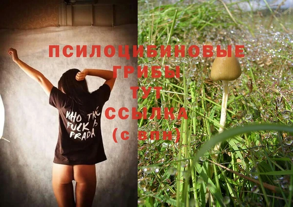 ПСИЛОЦИБИНОВЫЕ ГРИБЫ Михайловск