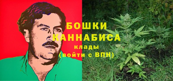 ПСИЛОЦИБИНОВЫЕ ГРИБЫ Михайловск