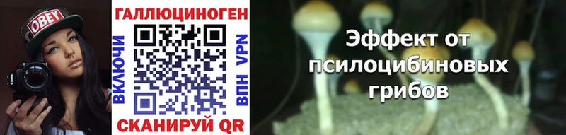 Псилоцибиновые грибы прущие грибы  цены наркотик  Сольцы 